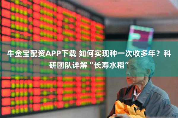 牛金宝配资APP下载 如何实现种一次收多年？科研团队详解“长寿水稻”