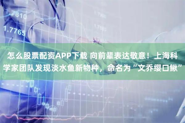 怎么股票配资APP下载 向前辈表达敬意！上海科学家团队发现淡水鱼新物种，命名为“文乔缨口鳅”