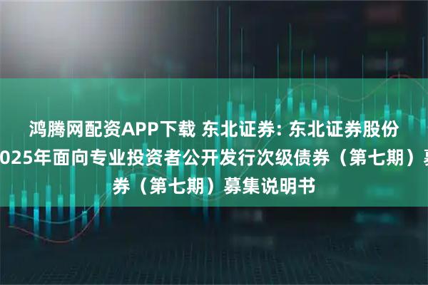 鸿腾网配资APP下载 东北证券: 东北证券股份有限公司2025年面向专业投资者公开发行次级债券（第七期）募集说明书